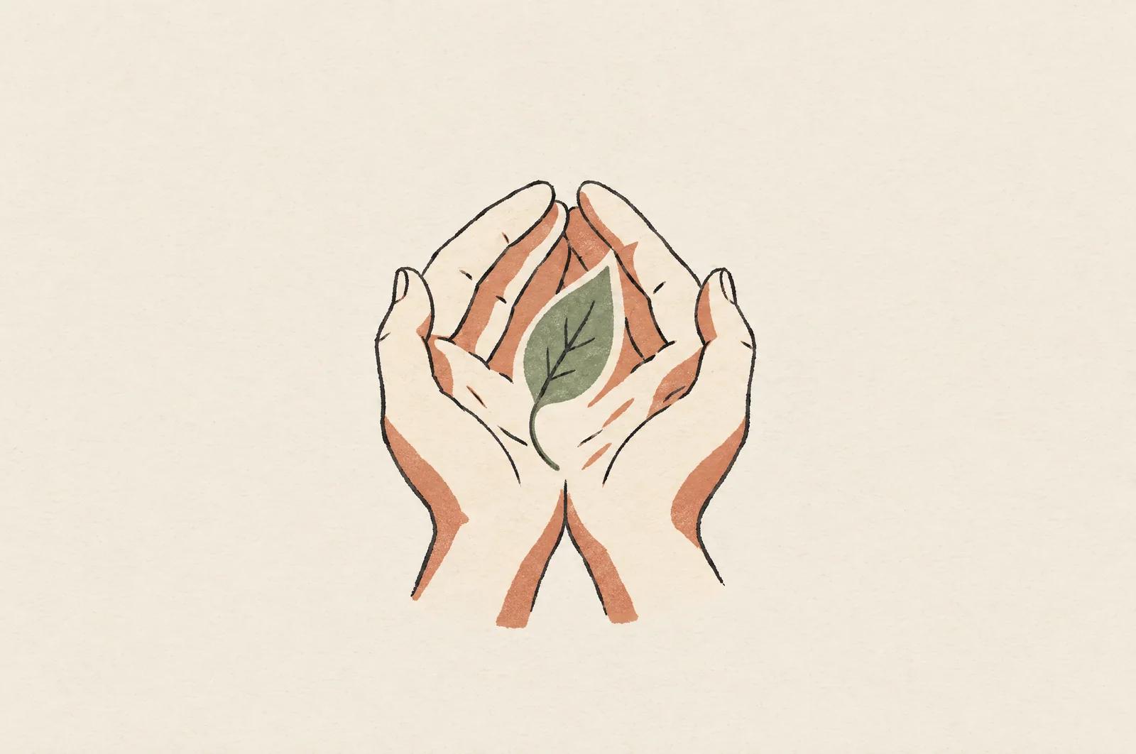 Two cupped hands holding a single green leaf.